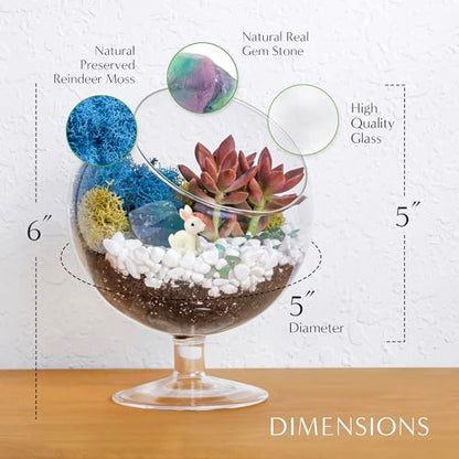Creations by Nathalie DIY 6" Chalice Terrarium Kit Build Your Own Glass Terrarium for Adults & Teens, DIY Terrarium Kit with Live Moss, Crystals, Soil (Plant Not Included) | DIY chalice glass terrarium kit with moss and tools, including supplies for creat