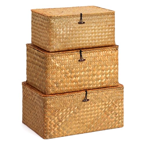 Nonam Large Storage Basket with Lid, Natural Seagrass Bin with Lid Set of 3, Shelf Baskets Multipurpose Container for Boho Decoration, Rectangular Household Storage Boxes for Home Organization-Natural - color: Large Natural * Set of 3
