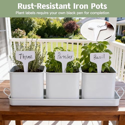 Indoor Herb Garden, Herb Planter Set with Handled Tray, 3 Iron Indoor Plant Pots with Drainage Holes, Windowsill Planter with Customizable Labels, Marker Pen, 10 Plant Labels, Window Pots, White