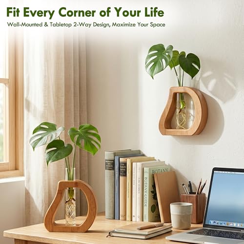 Glass Test Tube Plant Propagation Terrarium Station | Wall Hanging for Indoor Water Plant Rooting, Wall Home Decor, Thoughtful Gardening Gift for Mom and Plant-Loving Women - size: 5.3*5.6IN