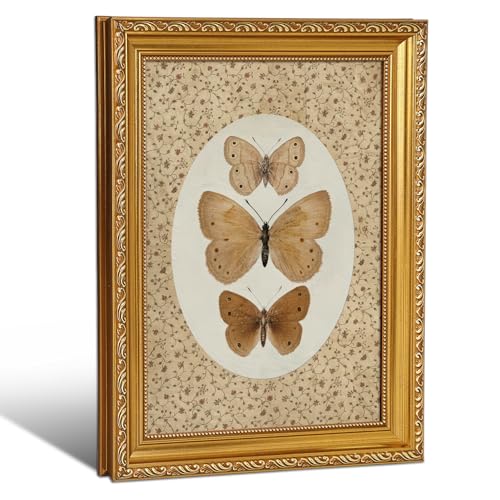 MHUNFDHNOLZ Gold Vintage Framed Butterfly Wall Art - Retro Illustration Rustic Farmhouse Canvas Print for Living Room Bedroom Bathroom, 9x11 Inch - color: Framed-Butterfly, size: 9"L x 11"W