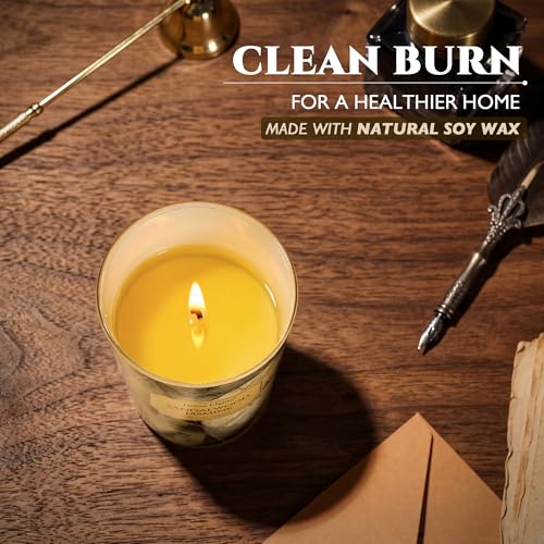 HomeLights Soy Wax Candles for Home Scented, 1-Wick Candles in Sandalwood Jasmine Scented, Industrial Chic Aromatherapy Candles Gift for Parties, Relaxing, 6.7oz - color: Sandalwood Jasmine