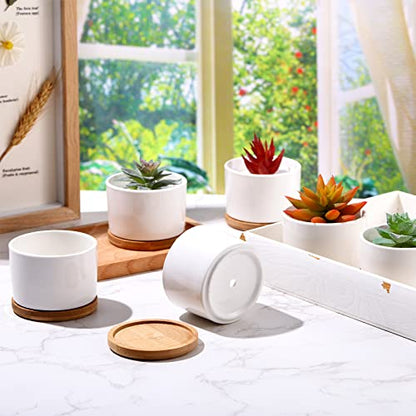 Cindeer 12 Sets Succulent Plant Pot Ceramic Succulent Pots Container Cactus Pots with Bamboo Tray Small Cylinder Flower Plant Pot with Bamboo Saucers for Plants Indoor Outdoor(White,3 x 2.17 Inch) - color: White