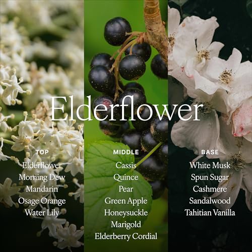 Antica Farmacista Home Ambiance Diffuser - Long-Lasting Reed Scent Diffuser - Luxury Room Freshener Gift - Elderflower, 16.9 fl oz - size: 16.9 fl oz
