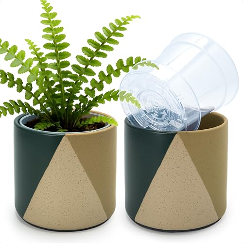 D'vine Dev 2-Pack Cachepot with Clear Pot, 6.5 in, Desert Forest, 93-V-C-1 | Dual-Pot System, Root Visibility, Bottom Watering Support, Enhanced Drainage, Artistic Stoneware Design, Easy Plant Care - color: Desert Forest, size: 6.5” Cachepot + 6“ Clear Gr