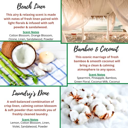Fresh Clean Scent Wax Melts Wax Cubes - Spring Summer Scented Wax Melt Variety Pack for Wax Warmers - Kermode Natural Aromatherapy Fragrance - Long Lasting Bulk Assorted Safe Melting Soy Tarts