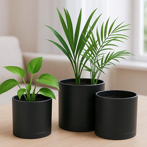 D'vine Dev 3-Pack Plastic Pots & Saucers, 4/5/6 in, Black, 74-V-B-1 | Multi-Size Options, Lightweight Durable, Matte Finish, Cylinder Shape, Drainage Holes, Sleek Design, Detachable Saucer - color: Matte Black, size: Small