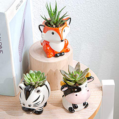 Cute Succulent Planter, Succulent Pots with Drainage Hole Flower Plant Pot | Cartoon Ceramic Tiny Pot for Indoor Mini Flower Planters Cactus Container Set of 6 - color: Elephant/Panda/Fox/Cow/Sheep/Zebra