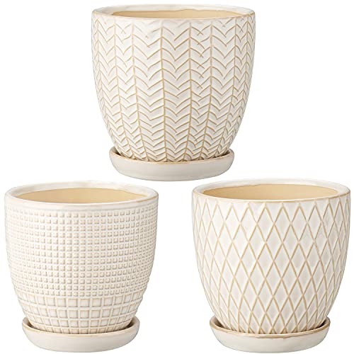 Oairse 4 inches Ceramic Planter Pots 3 Set of Small Round Flower Pots with Drainage Hole and Ceramic Tray for Succulents Cactus Indoor Outdoor Garden Home Windowsill - color: Ivory