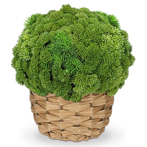 Briful Succulent Plants Artificial Large Fake Succulent Arrangement with Rattan Basket Planter Faux Plants Indoor for Home Office Room Table Centerpiece Shelf Decor - color: Green-medium Rattan Basket