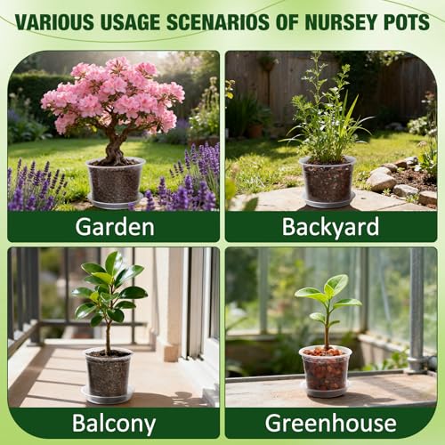 10 Inch Clear Nursery Pots with Drainage Holes and Saucers, 5 Pack Large Clear Pots for Plants Variety Pack, Seedling Pots for Succulents, Herbs, Flowers, Vegetables - size: 10 inch