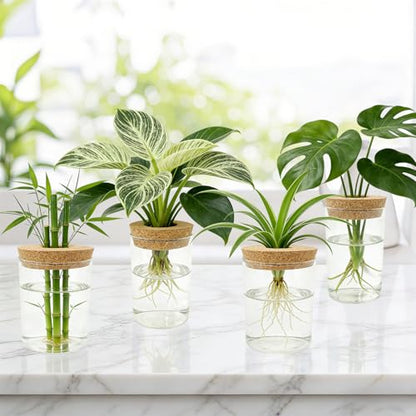 4 Pack Glass Plant Propagation Station,Desktop Vases for Home Office Decor | for Herb & Plant Cuttings, Fits Living Room Bedroom Office, Ideal Plant Lover Gift, Decorative Glass Planter Jars