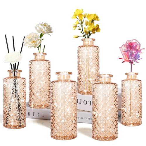 Glass Bud Vase, Flower Bottle, Small Vase, Set of 6, Simple, Solid, for Mum or Lady, Classy Gift for Father's Day, Anniversary, Wedding, Amber - color: Amber