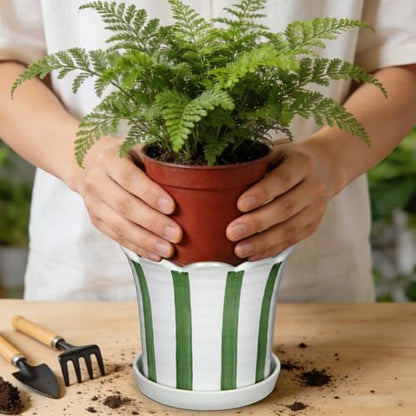 Set of 2 Flower Planter, 5.8 inch Ceramic Plant Pots with Drainage Hole and Sauser, Stripe Ceramic Planters with Wavy Opening for Indoor Outdoor Home Gardening Desktop Windowsill - color: Green & White