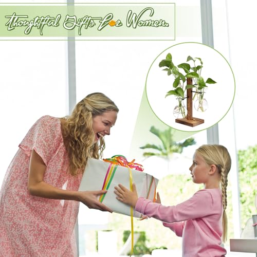 Plants Propagation Stations Bulb Glass Propagation Birthday Gift for Women | Garden Plant Lovers - 4 Bulb - color: Transparent