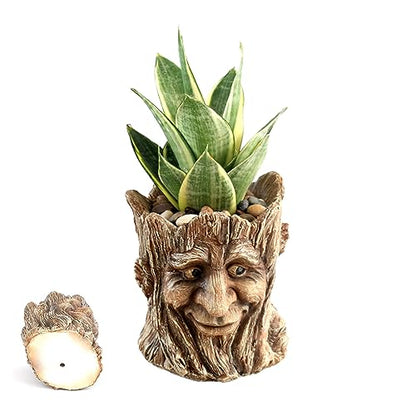 Funny Planter Head Face Plant Pot with Drainage Hole Resin Succulent Plant Holder Pencil Holder Desk Organizer Office Garden Gift (Smile Face)