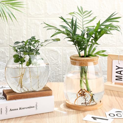Layhit 4 Pcs Plants Propagation Stations vases Glass Planters with Wooden Lid and Bamboo Stand for Hydroponic Plants Gardening Gifts for Women Mom Home Office Tabletop Decoration(Cute Style) - style: Cute Style