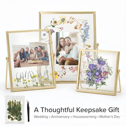 Relaxing Garden Pressed Flower Frame Kit, 3 Frames, 68 Flower Pieces | Three gold double-glass tabletop frames in 6x6, 6x8 and 7x9 sizes, with tweezers for flowers, photos and flat keepsakes.
