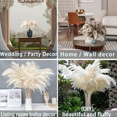 30 Stems White Pampas Grass Fluffy, Boho Home & Party Decor, Natural Pompas Grass for Living Room & Table Decor, Gift (17.7 inch, 30 White ) - size: 30white - 17 Inch