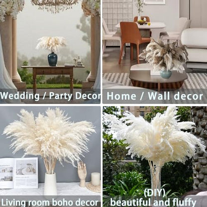 30 Stems White Pampas Grass Fluffy, Boho Home & Party Decor, Natural Pompas Grass for Living Room & Table Decor, Gift (17.7 inch, 30 White ) - size: 30white - 17 Inch