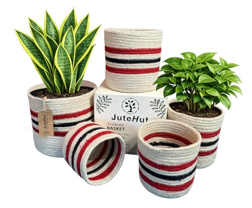 Plant Basket Set of 5, Handwoven Jute Planter Baskets for Indoor Plants, Home Decor and Nursery, Woven Rope Baskets, 5 to 8 Inch, White with Red and Black Stripes - color: White With Red & Black Stripes