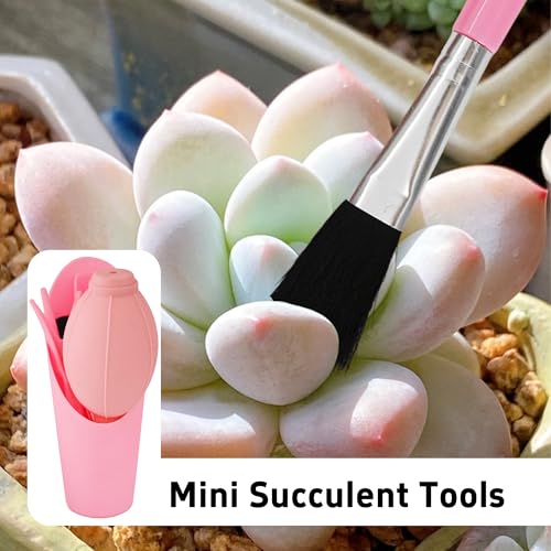 6Pcs Mini Succulent Tools Set, Garden Hand Tools Kit for Indoor Plant Care, Succulent Bonsai Miniature Garden Tool Set, Small Gardening Tools for Transplanting Digging Planting, Pink - style: Pink