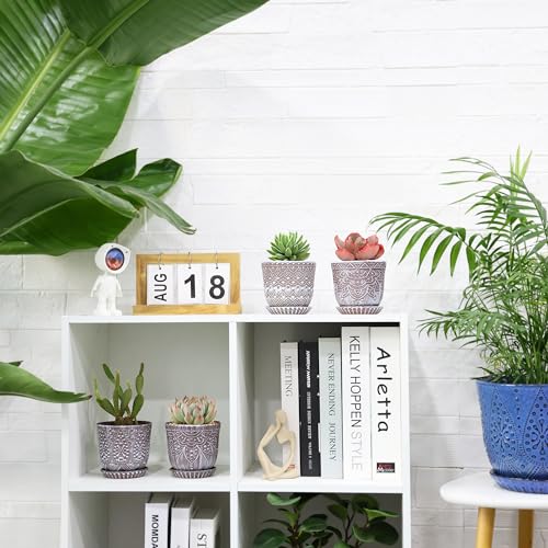 Gepege Ceramic Succulent Pots, 4 Inch Small Plant Pots with Drainage | Ceramic succulent pots with drainage holes, ceramic saucers and mesh pads, set of 4, ideal for cactus and succulents - color: Clay+white, size: 4 Inch - Set of 4
