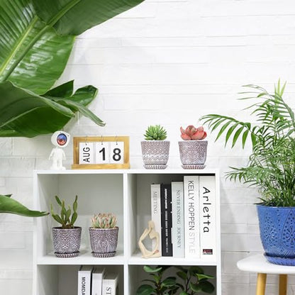 Gepege Ceramic Succulent Pots, 4 Inch Small Plant Pots with Drainage | Ceramic succulent pots with drainage holes, ceramic saucers and mesh pads, set of 4, ideal for cactus and succulents - color: Clay+white, size: 4 Inch - Set of 4