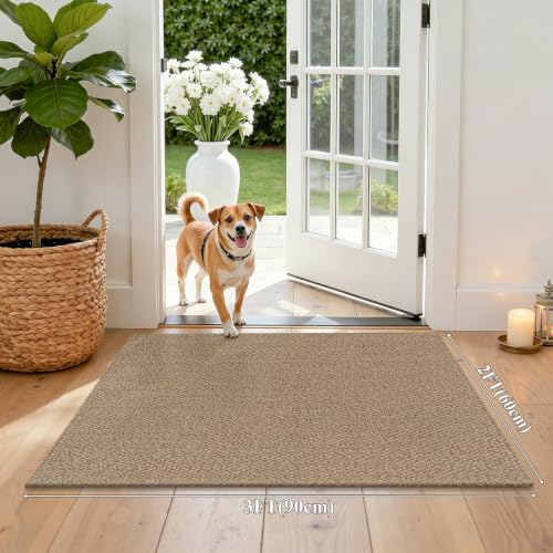 HEBE Cotton Woven Small Area Rug 2'x3', Washable Braided Indoor Door Mat | Non Slip Rubber Backed Entryway Rug, Neutral Low Profile Doormat Entrance Carpet for Front Porch, Bathroom, Kitchen - size: 2' x 3' (Rectangular)