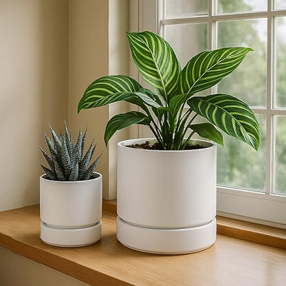 Phoenix Vine 4 Inch Planter Pot with Drainage Hole & Saucer, Deep Water Catch Tray, Straight Cylindrical Round Pot for Plants, Matte White, Pack of 3, 23-B-R-3 - color: Matte White, size: 4" (3 Pack)