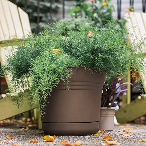 Bloem 010250 Saturn Planter, 5", Chocolate, 5" - color: Chocolate Brown, size: 5"