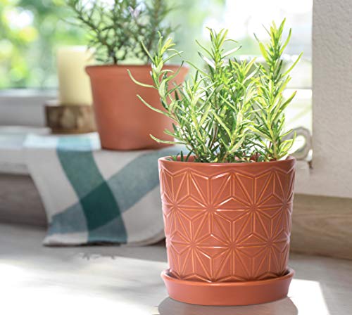 D'vine Dev 2-Pack Geometric Stoneware Planters, 3.8/5.8 in, Canyon, 99-E-5 | Drainage Hole and Saucer, Sculptural Geometric Design, Rich Glazed Surface, Modern Style, Elegant Accent for Indoor Plants - color: Pottery Red