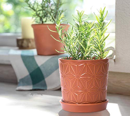 D'vine Dev 2-Pack Geometric Stoneware Planters, 3.8/5.8 in, Canyon, 99-E-5 | Drainage Hole and Saucer, Sculptural Geometric Design, Rich Glazed Surface, Modern Style, Elegant Accent for Indoor Plants - color: Pottery Red