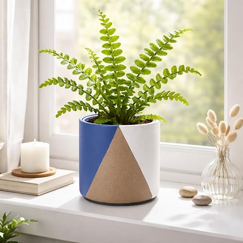 D'vine Dev 2-Pack Cachepot with Clear Pot, 6.5 in, Cobalt Canyon, 93-V-C-3 | Dual-Pot System, Root Visibility, Bottom Watering Support, Enhanced Drainage, Artistic Stoneware Design, Easy Plant Care - color: Cobalt Canyon, size: 6.5” Cachepot + 6“ Clear Gr