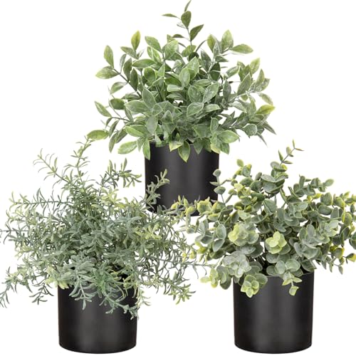 3 Pack Small Fake Plants for Shelf Decor Accents with Plastic Black Pot Artificial Potted Plants for Rustic Farmhouse Decor Faux Plants Indoor Fake Potted Plants Artificial for Home Office Decor - color: Plastic Pot #02
