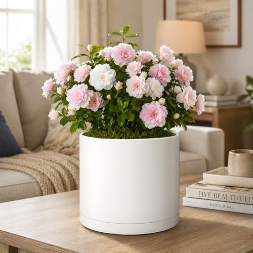 Giraffe Creation Cylinder Plant Pots 12/10/8 Inch Set of 3, Modern Round Planters with Drainage Holes and Saucers, Durable Plastic Flower Pots, White - color: White 12/10/8 Inch