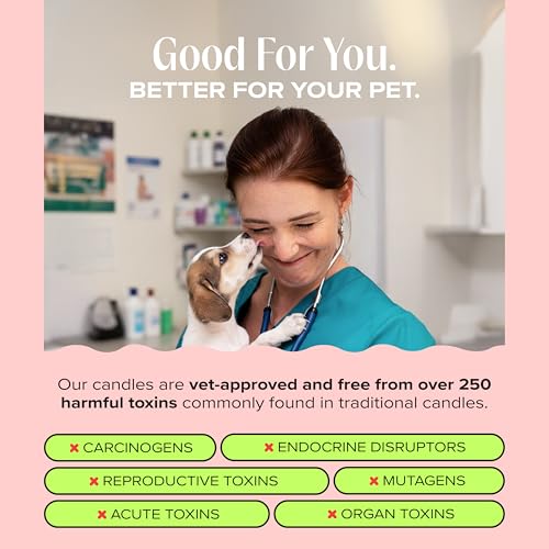 Anywhere with You Pet-Friendly Scented Candle – Grapefruit & Vanilla Fragrance - Coconut Soy Wax Candle with Wooden Wick, Approx. 50-Hour Burn Time, Made in USA, 11.8 oz - color: Anywhere with You
