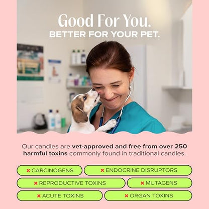 Anywhere with You Pet-Friendly Scented Candle – Grapefruit & Vanilla Fragrance - Coconut Soy Wax Candle with Wooden Wick, Approx. 50-Hour Burn Time, Made in USA, 11.8 oz - color: Anywhere with You