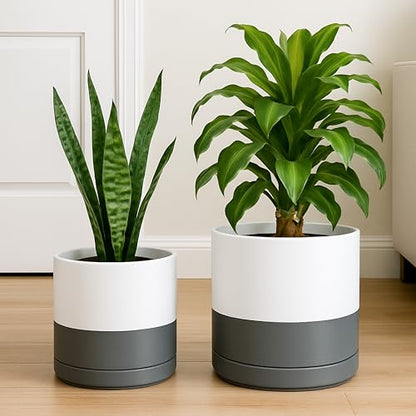 D'vine Dev 2-Pack Ceramic Pots with Saucers, 8/10 in, White/Grey, 94-G-L-6 | Glazed Ceramic, Drainage Hole, Perfect-Fit Saucer, Sleek Cylinder Shape, High Temperature Fired, Elegant Home Accent - color: White/Speckled Grey, size: Large
