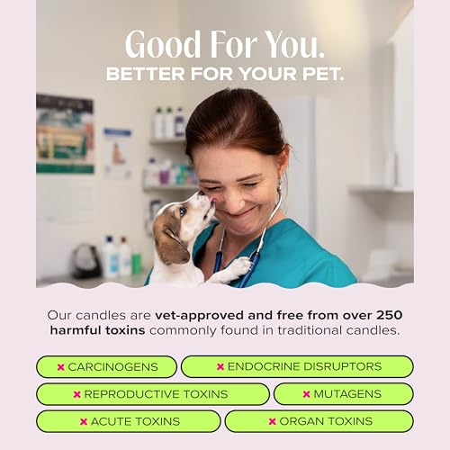 Companion Candles I Love You, I Love You! Pet-Friendly Scented Candle – Sandalwood & Amber Fragrance - Coconut Soy Wax Candle with Wooden Wick, Approx. 50-Hour Burn Time, Made in USA, 11.8 oz - color: I Love You, I Love You