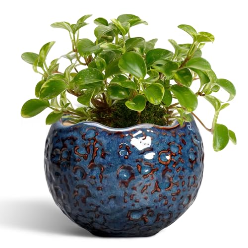 Ceramic Pots for Plants - 4 Inch Plant Pots for Indoor Outdoor, Small Planter with Drainage Hole, Unique Flower Pot, Decorative Modern Round Planter, Office Decor, Home Gifts, Retro Blue - color: Retro Blue, size: 4.5 Inch