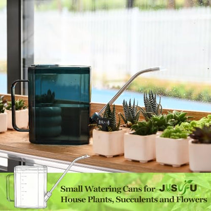 Watering Can Indoor,34oz/1000ml | Small Watering Cans for House Plants, Succulents and Flowers, Long Spout