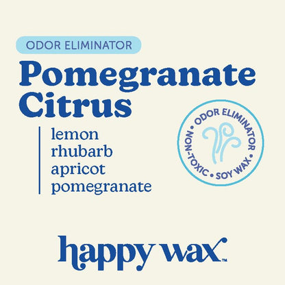 Happy Wax Odor Eliminating Scented Soy Wax Melts – Pet-Safe, Non-Toxic, Use with Wax Warmers - for Home Fragrance & Freshness - 6 Total Oz: Oatmeal & Honey, Pomegranate Citrus and Blooming Vanilla - color: Odor Eliminating Mix