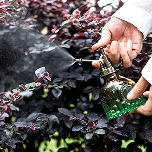TOMEX Glass Plant Mister Spray Bottle 200ML Watering Bottle with Top Pump Watering Can for Indoor Outdoor House Plants,Flowers (Brown-Green) - color: Brown-Green