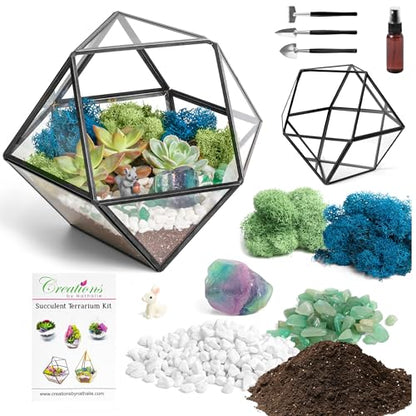 Creations by Nathalie DIY Geometric Glass Terrarium Kit with Moss & Tools | DIY geometric glass terrarium kit with moss, tools, and supplies for creating an indoor terrarium display with your plants. - color: 7” Geometric Dodecahedron