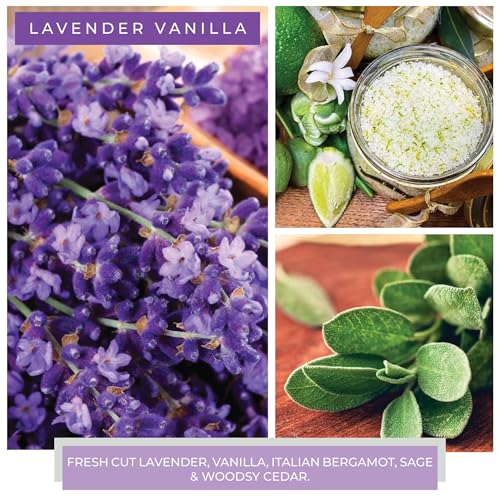 A Cheerful Giver - Lavender Vanilla Baby Scented Glass Jar Candle (6oz) with Lid & True to Life Fragrance Made in USA - size: 6 oz