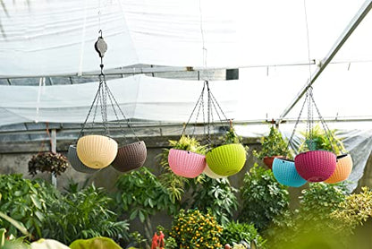 Hanging Basket Plastic Flower Pot Round Resin Garden Hanging Planter for Indoor Outdoor Plants 2 Pack Mulberry - color: 8 Inch Fushia