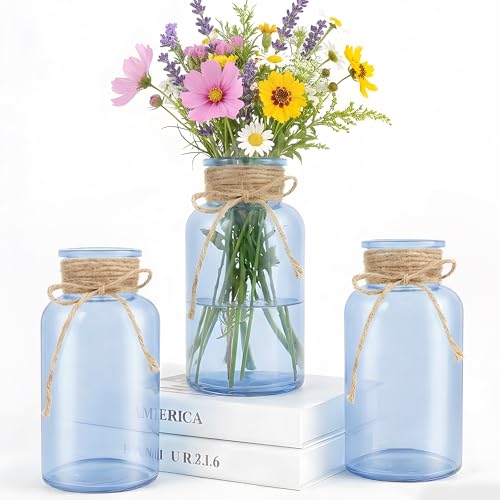 3 Pack Mason Jar Vases for Centerpieces, Blue Glass Flower Vase | Vintage Farmhouse Rustic Decorative Jars for Wedding Party Baby Shower Table Decor, Wide Mouth Mason Jars with Twine Bulk - color: Blue