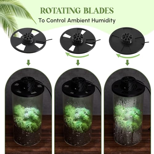 Glass Plant Terrarium Kit with LED Grow Light, Desk Terrarium for Venus Fly Trap, Succulents, Moss & Miniature Garden, Borosilicate Glass Desktop Planter for Home Office(7.9 x 3.9 Inch) - size: 7.9 x 3.9 Inch