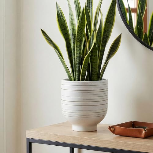 HERDUK Modern Ceramic Pottery Planter for Indoor Plants, White Minimalist Indoor Planter with Drainage, Contemporary Decorative Pot for Living Room, Office & Shelf Styling - color: White, size: 6.7 Inch